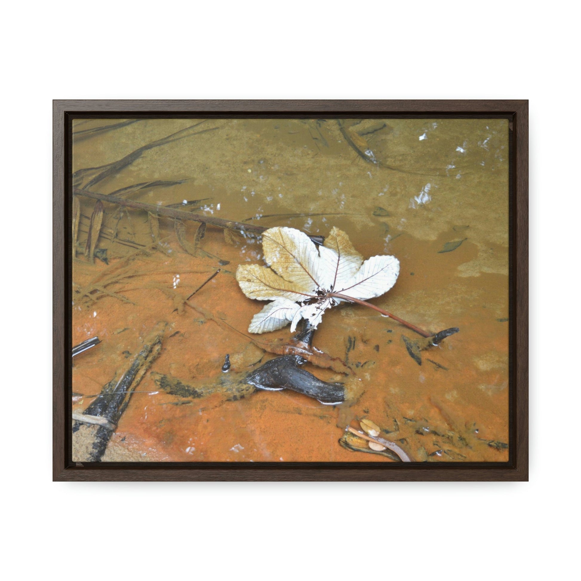 Horizontal Framed Premium Gallery Wrap Canvas - Holy Spirit River explorations - El Yunque rainforest PR - Green Forest Home