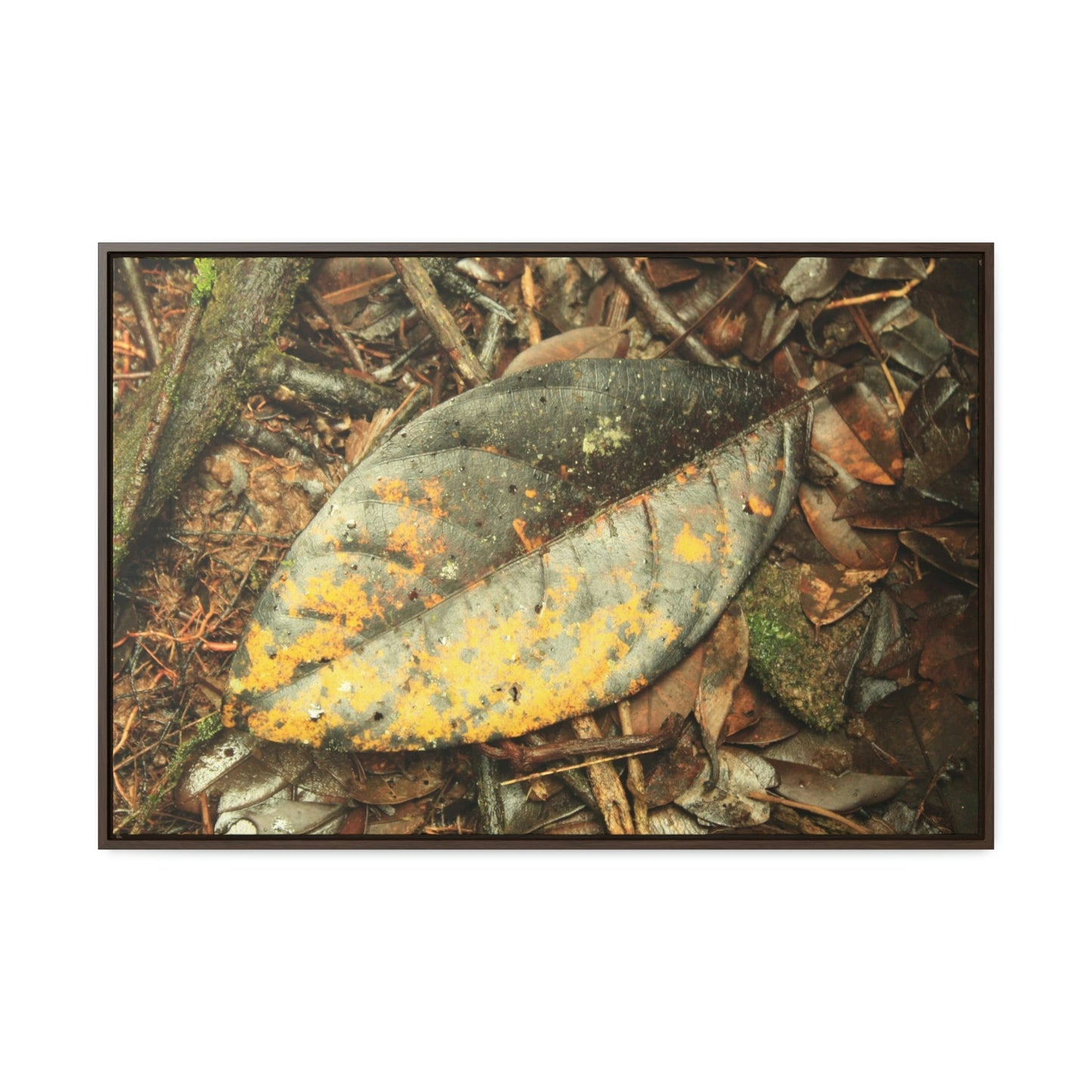 Horizontal Framed Premium Gallery Wrap Canvas - Holy Spirit River explorations - El Yunque rainforest PR - Green Forest Home