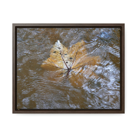 Horizontal Framed Premium Gallery Wrap Canvas - Holy Spirit River explorations - El Yunque rainforest PR - Green Forest Home