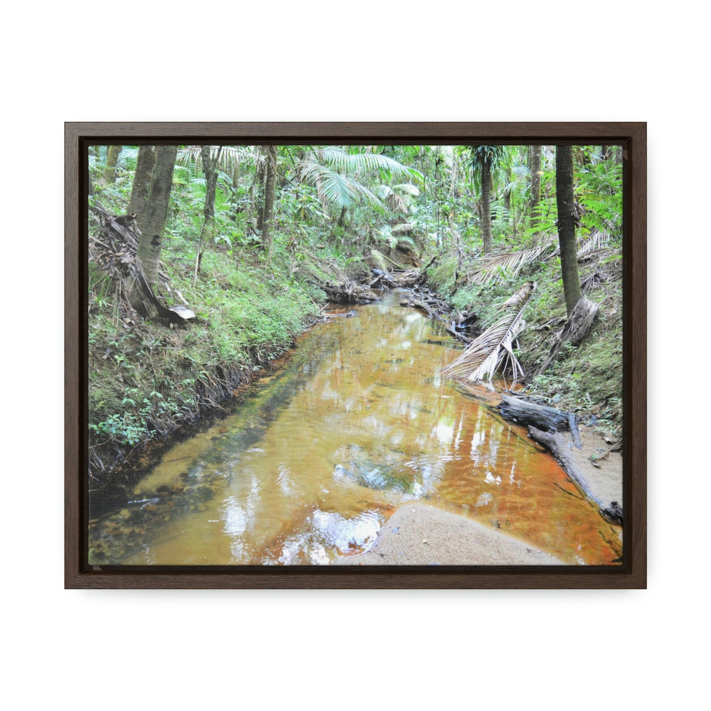 Horizontal Framed Premium Gallery Wrap Canvas - Holy Spirit River explorations - El Yunque rainforest PR - Green Forest Home