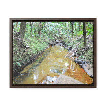 Horizontal Framed Premium Gallery Wrap Canvas - Holy Spirit River explorations - El Yunque rainforest PR - Green Forest Home
