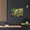 Horizontal Framed Premium Gallery Wrap Canvas - Holy Spirit River explorations - El Yunque rainforest PR - Green Forest Home