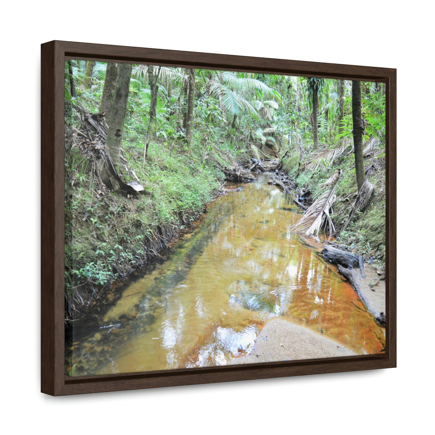 Horizontal Framed Premium Gallery Wrap Canvas - Holy Spirit River explorations - El Yunque rainforest PR - Green Forest Home