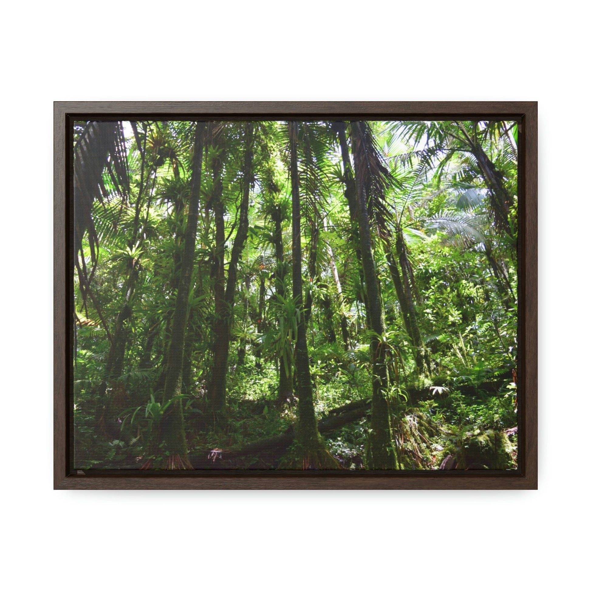 Horizontal Framed Premium Gallery Wrap Canvas - Holy Spirit River explorations - El Yunque rainforest PR - Green Forest Home