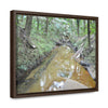 Horizontal Framed Premium Gallery Wrap Canvas - Holy Spirit River explorations - El Yunque rainforest PR - Green Forest Home