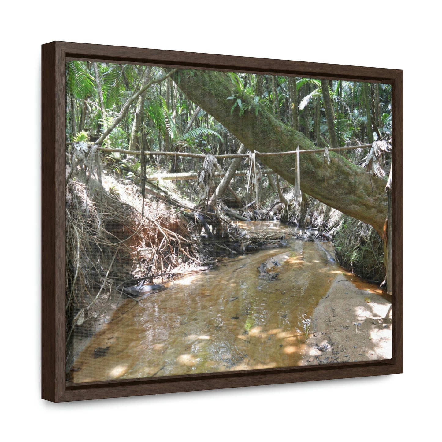 Horizontal Framed Premium Gallery Wrap Canvas - Holy Spirit River explorations - El Yunque rainforest PR - Green Forest Home