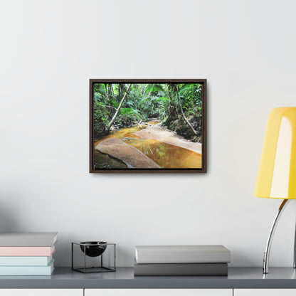 Horizontal Framed Premium Gallery Wrap Canvas - Holy Spirit River explorations - El Yunque rainforest PR - Green Forest Home