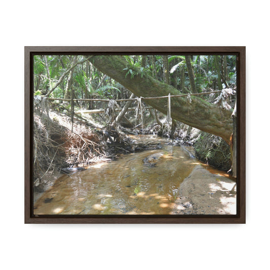 Horizontal Framed Premium Gallery Wrap Canvas - Holy Spirit River explorations - El Yunque rainforest PR - Green Forest Home