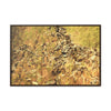 Horizontal Framed Premium Gallery Wrap Canvas - Holy Spirit River explorations - El Yunque rainforest PR - Green Forest Home