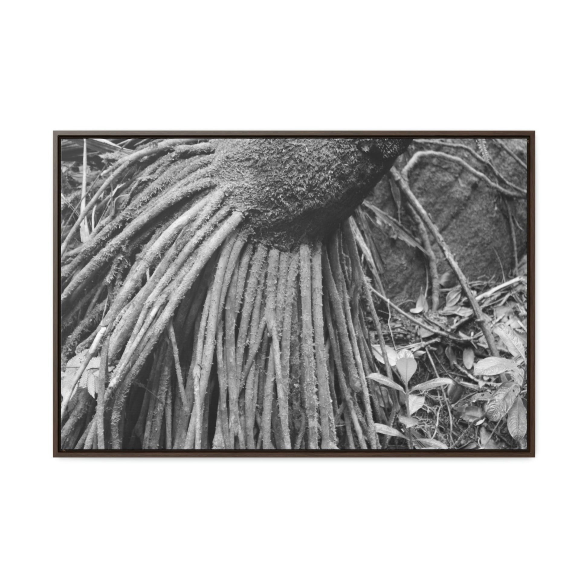 Horizontal Framed Premium Gallery Wrap Canvas - Holy Spirit River explorations - El Yunque rainforest PR - Green Forest Home