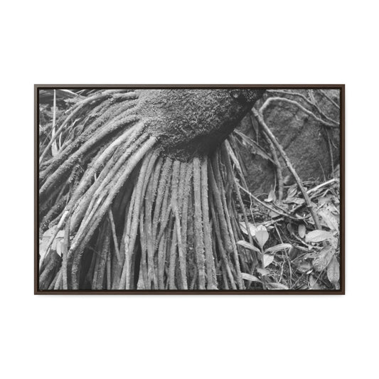 Horizontal Framed Premium Gallery Wrap Canvas - Holy Spirit River explorations - El Yunque rainforest PR - Green Forest Home