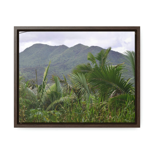 Horizontal Framed Premium Gallery Wrap Canvas - Holy Spirit River explorations - El Yunque rainforest PR - Green Forest Home