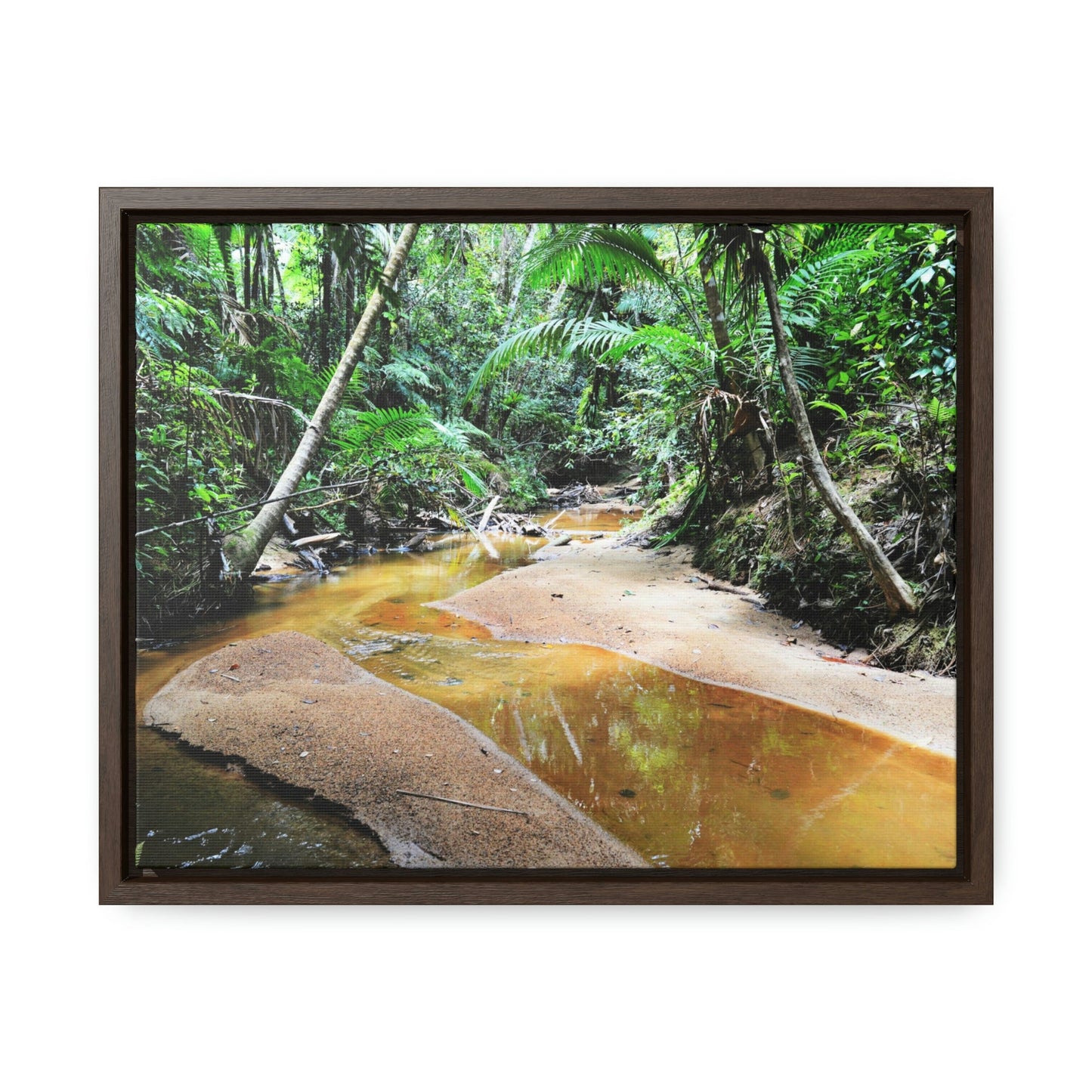 Horizontal Framed Premium Gallery Wrap Canvas - Holy Spirit River explorations - El Yunque rainforest PR - Green Forest Home