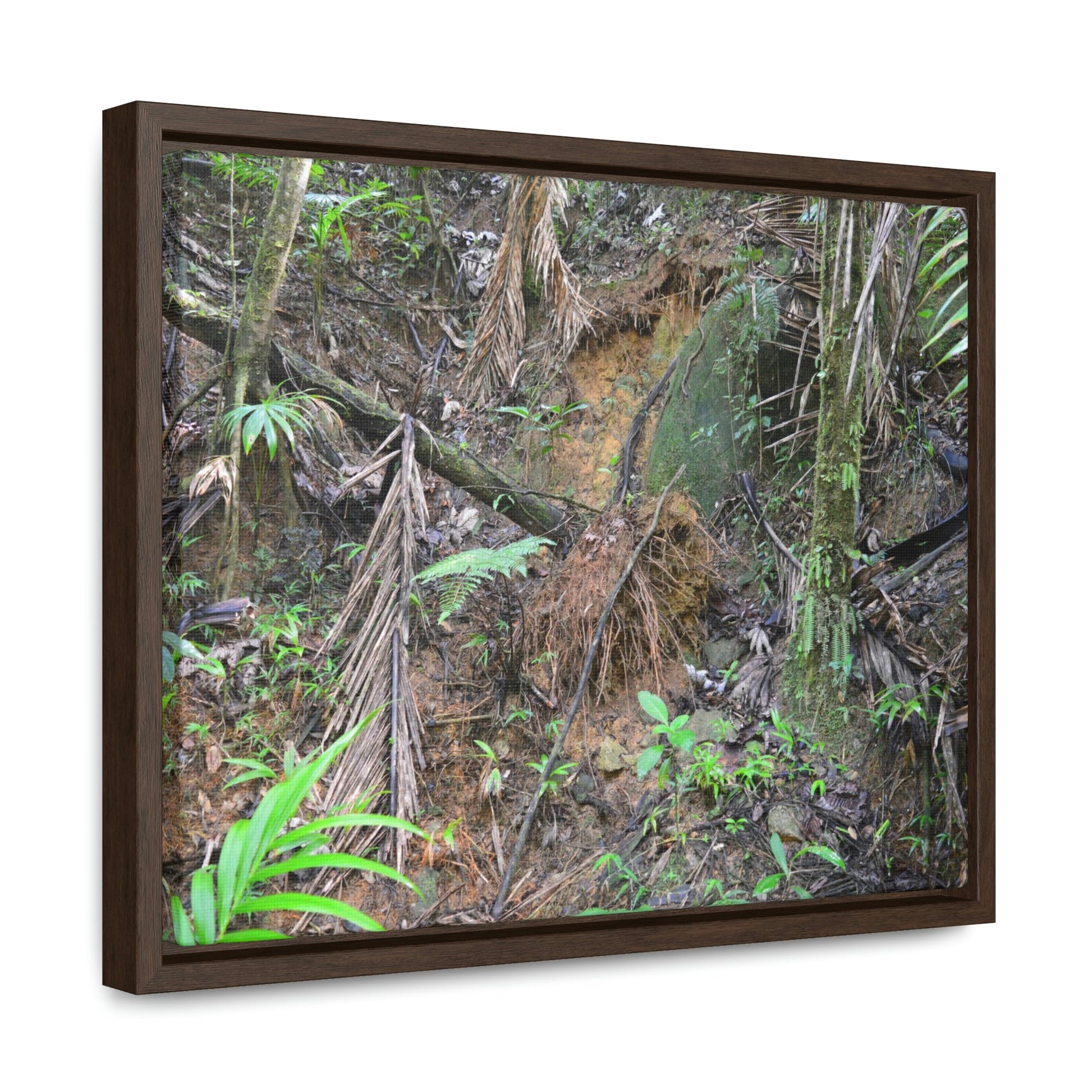 Horizontal Framed Premium Gallery Wrap Canvas - Holy Spirit River explorations - El Yunque rainforest PR - Green Forest Home