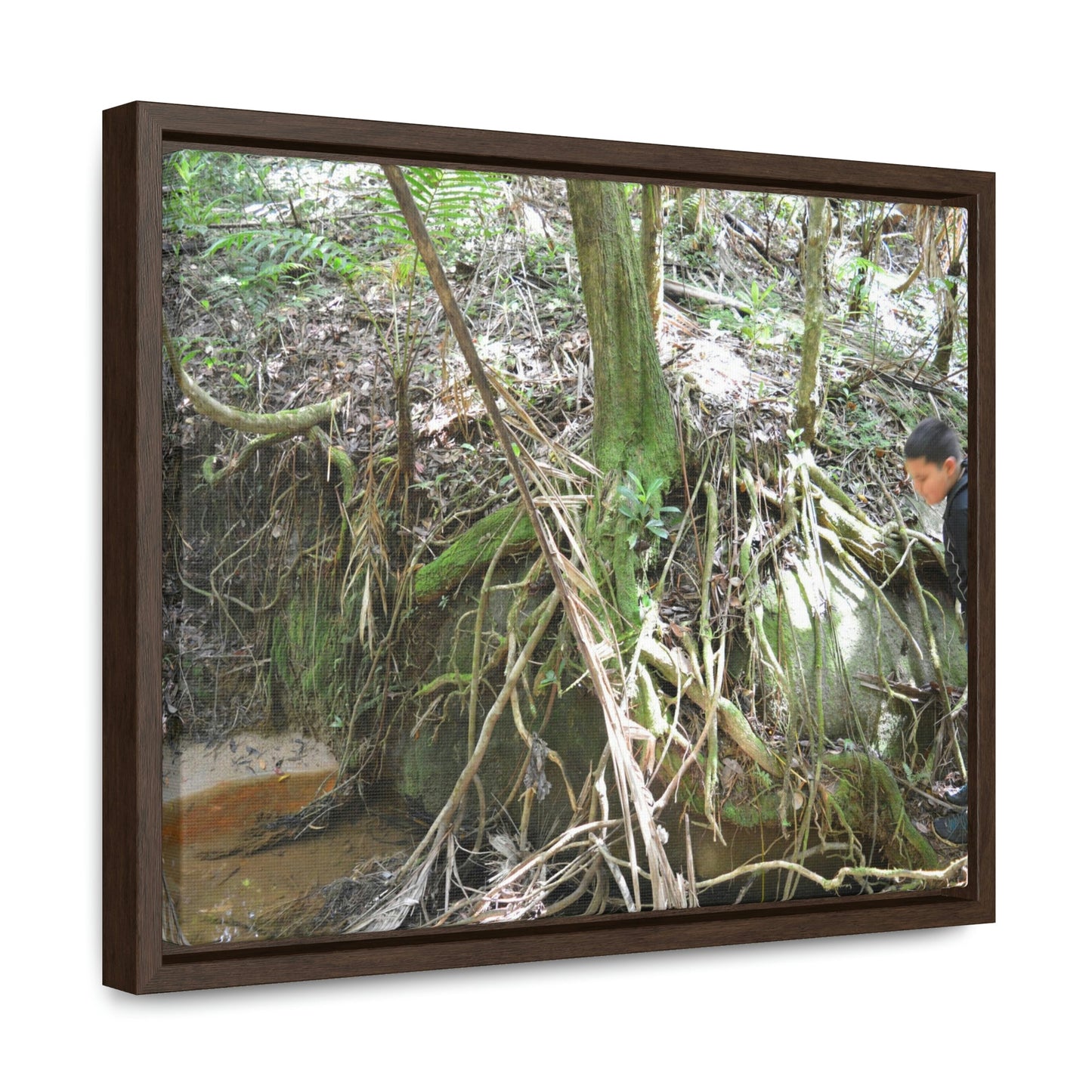 Horizontal Framed Premium Gallery Wrap Canvas - Holy Spirit River explorations - El Yunque rainforest PR - Green Forest Home
