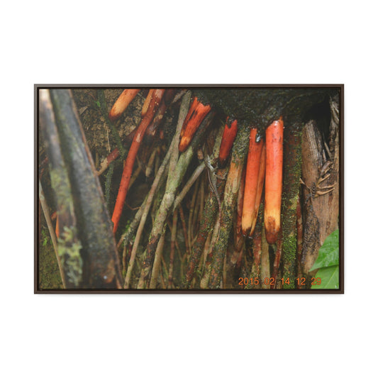 Horizontal Framed Premium Gallery Wrap Canvas - Holy Spirit River explorations - El Yunque rainforest PR - Green Forest Home