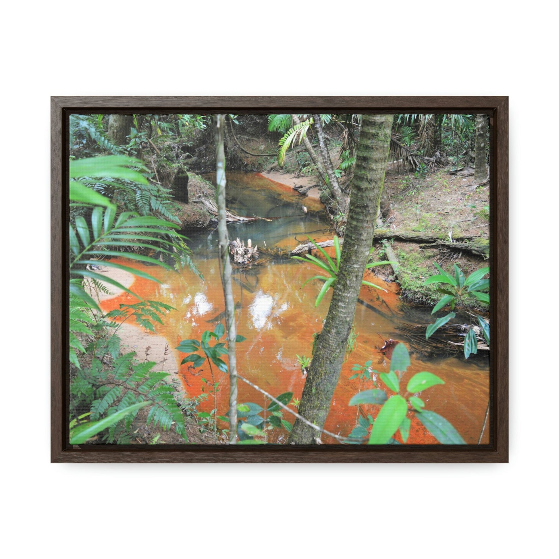 Horizontal Framed Premium Gallery Wrap Canvas - Holy Spirit River explorations - El Yunque rainforest PR - Green Forest Home