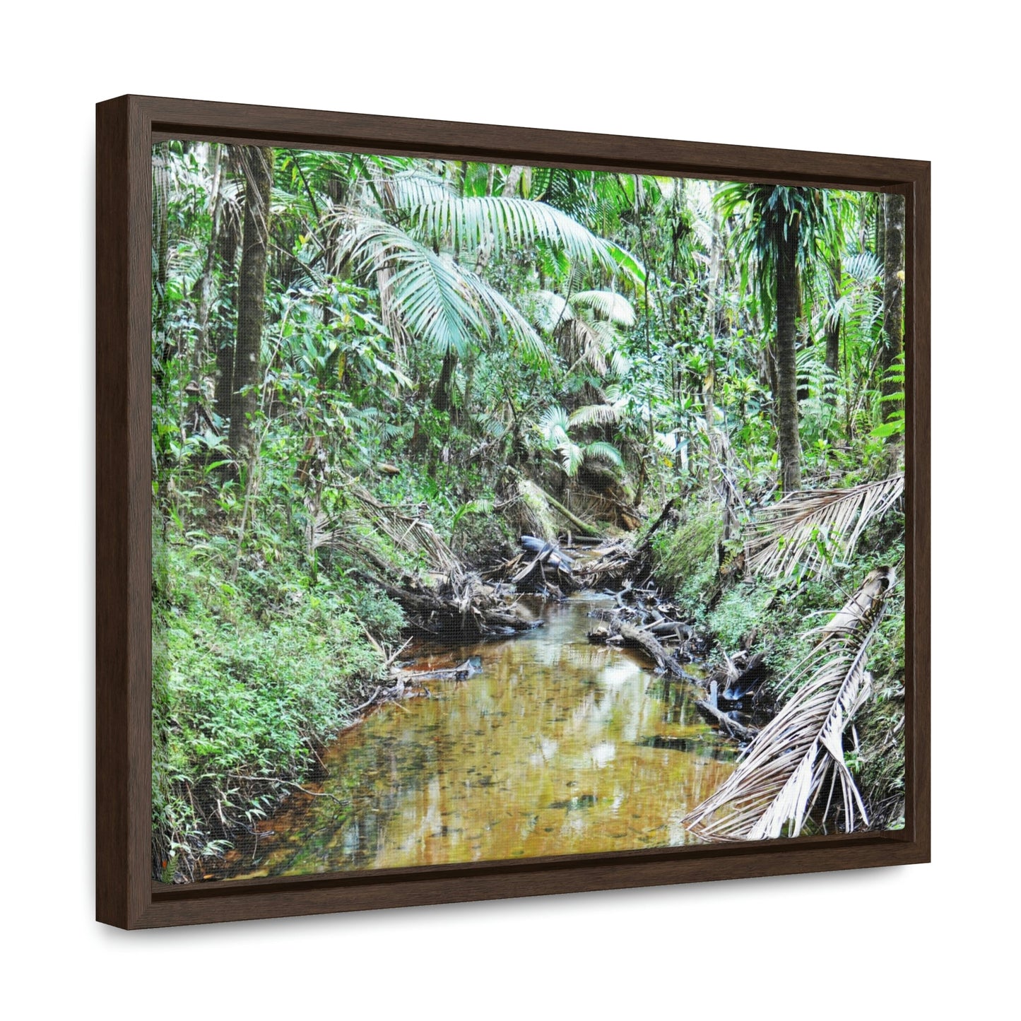 Horizontal Framed Premium Gallery Wrap Canvas - Holy Spirit River explorations - El Yunque rainforest PR - Green Forest Home