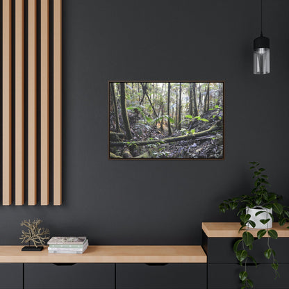 Horizontal Framed Premium Gallery Wrap Canvas - Holy Spirit River explorations - El Yunque rainforest PR - Green Forest Home