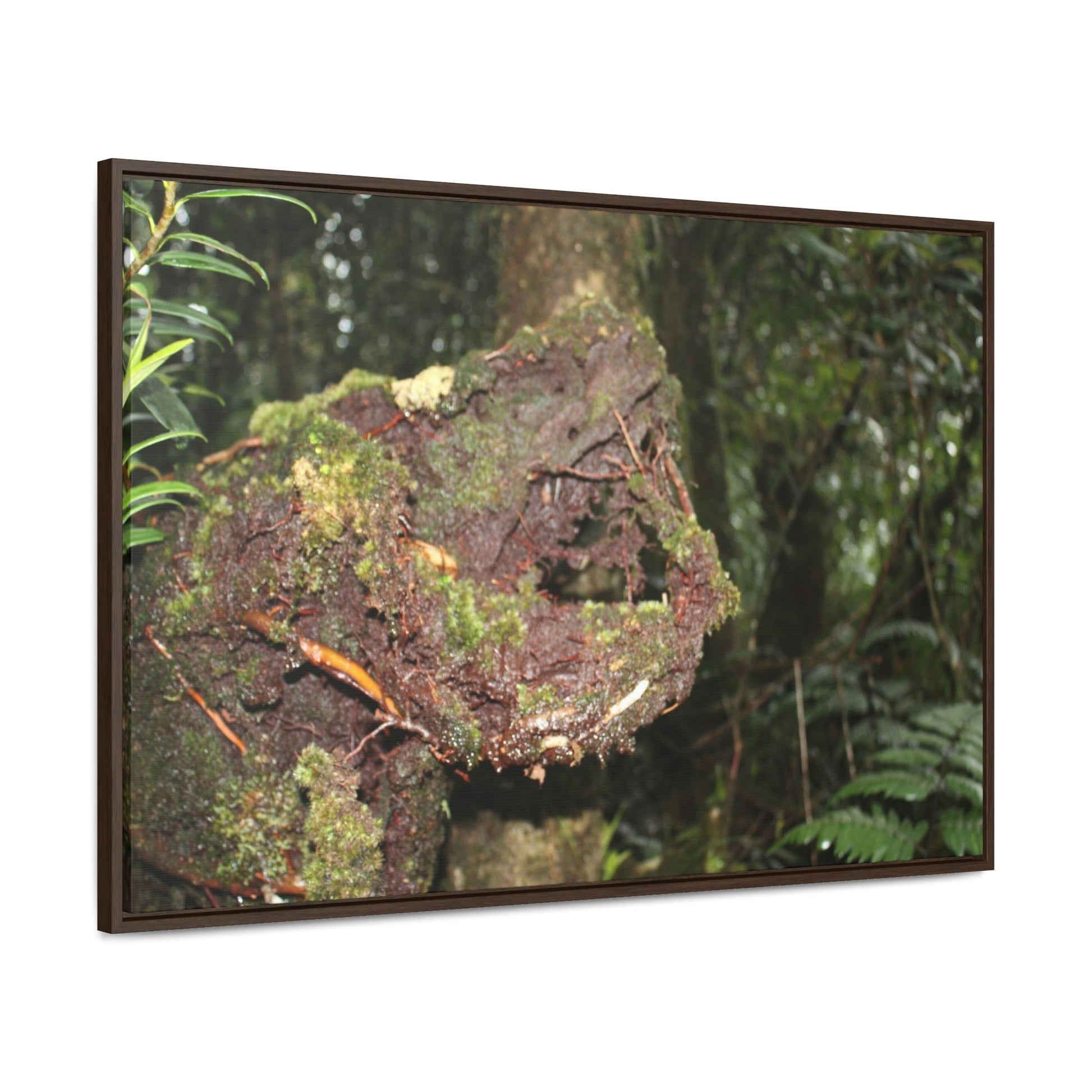 Horizontal Framed Premium Gallery Wrap Canvas - Holy Spirit River explorations - El Yunque rainforest PR - Green Forest Home
