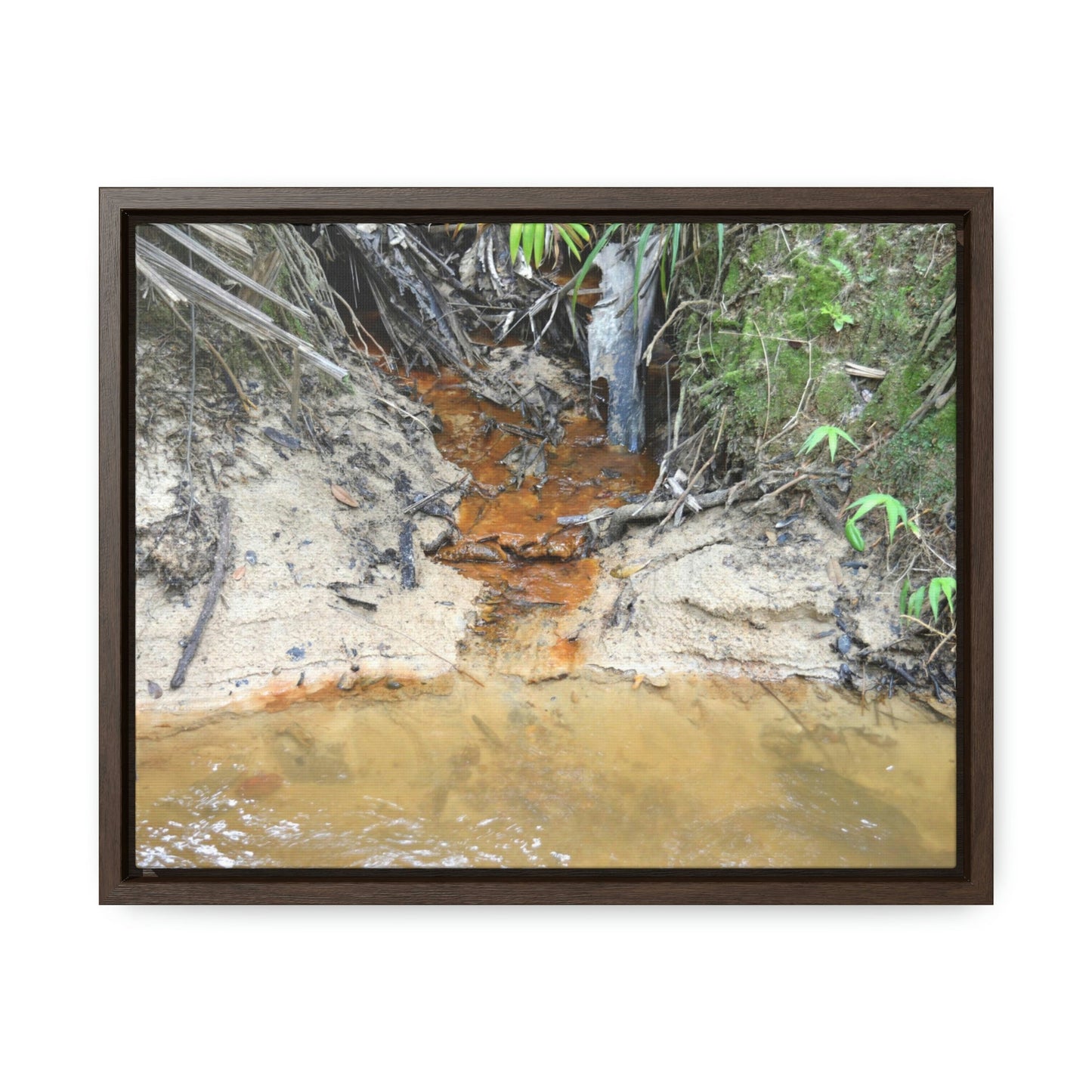 Horizontal Framed Premium Gallery Wrap Canvas - Holy Spirit River explorations - El Yunque rainforest PR - Green Forest Home