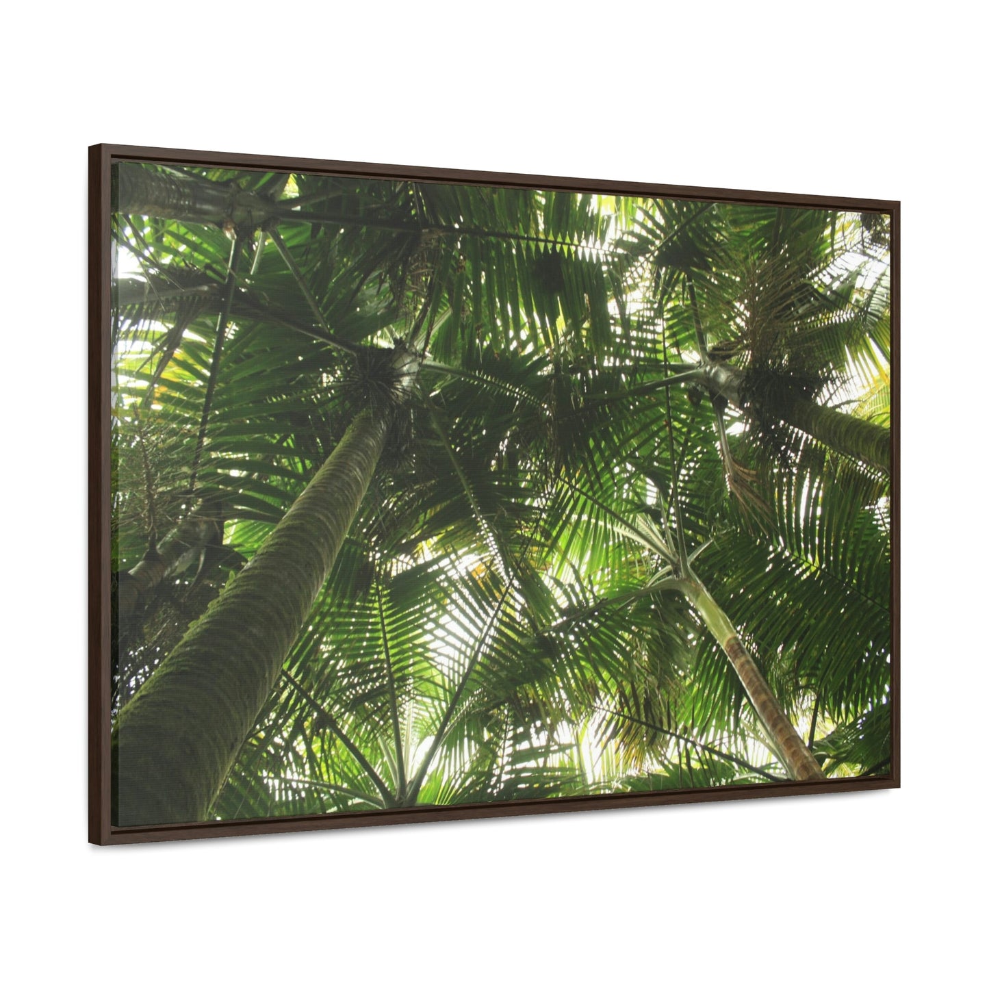 Horizontal Framed Premium Gallery Wrap Canvas - Holy Spirit River explorations - El Yunque rainforest PR - Green Forest Home