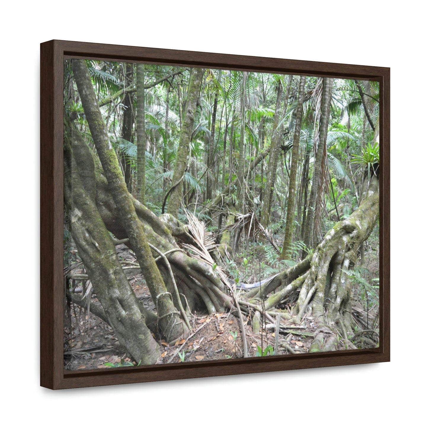 Horizontal Framed Premium Gallery Wrap Canvas - Holy Spirit River explorations - El Yunque rainforest PR - Green Forest Home