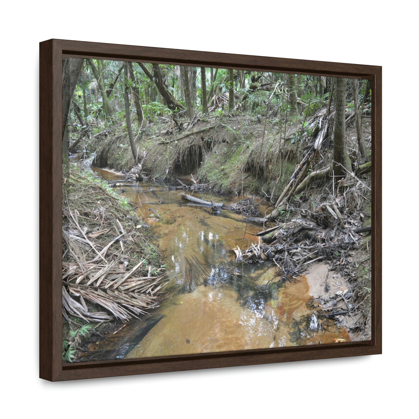 Horizontal Framed Premium Gallery Wrap Canvas - Holy Spirit River explorations - El Yunque rainforest PR - Green Forest Home