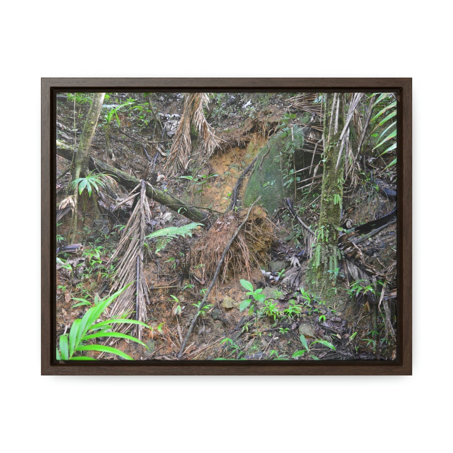 Horizontal Framed Premium Gallery Wrap Canvas - Holy Spirit River explorations - El Yunque rainforest PR - Green Forest Home