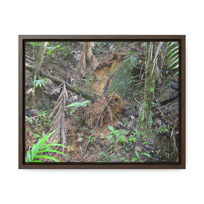 Horizontal Framed Premium Gallery Wrap Canvas - Holy Spirit River explorations - El Yunque rainforest PR - Green Forest Home