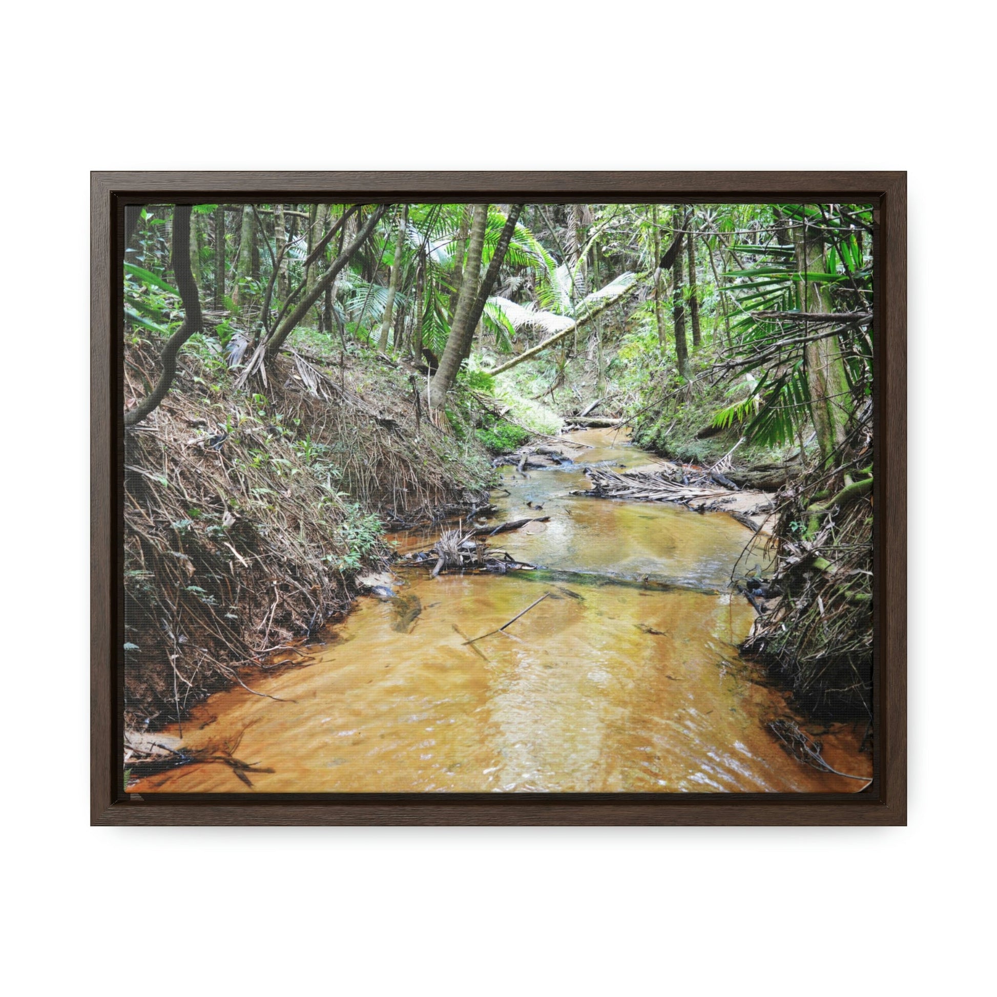 Horizontal Framed Premium Gallery Wrap Canvas - Holy Spirit River explorations - El Yunque rainforest PR - Green Forest Home