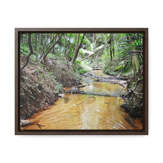 Horizontal Framed Premium Gallery Wrap Canvas - Holy Spirit River explorations - El Yunque rainforest PR - Green Forest Home