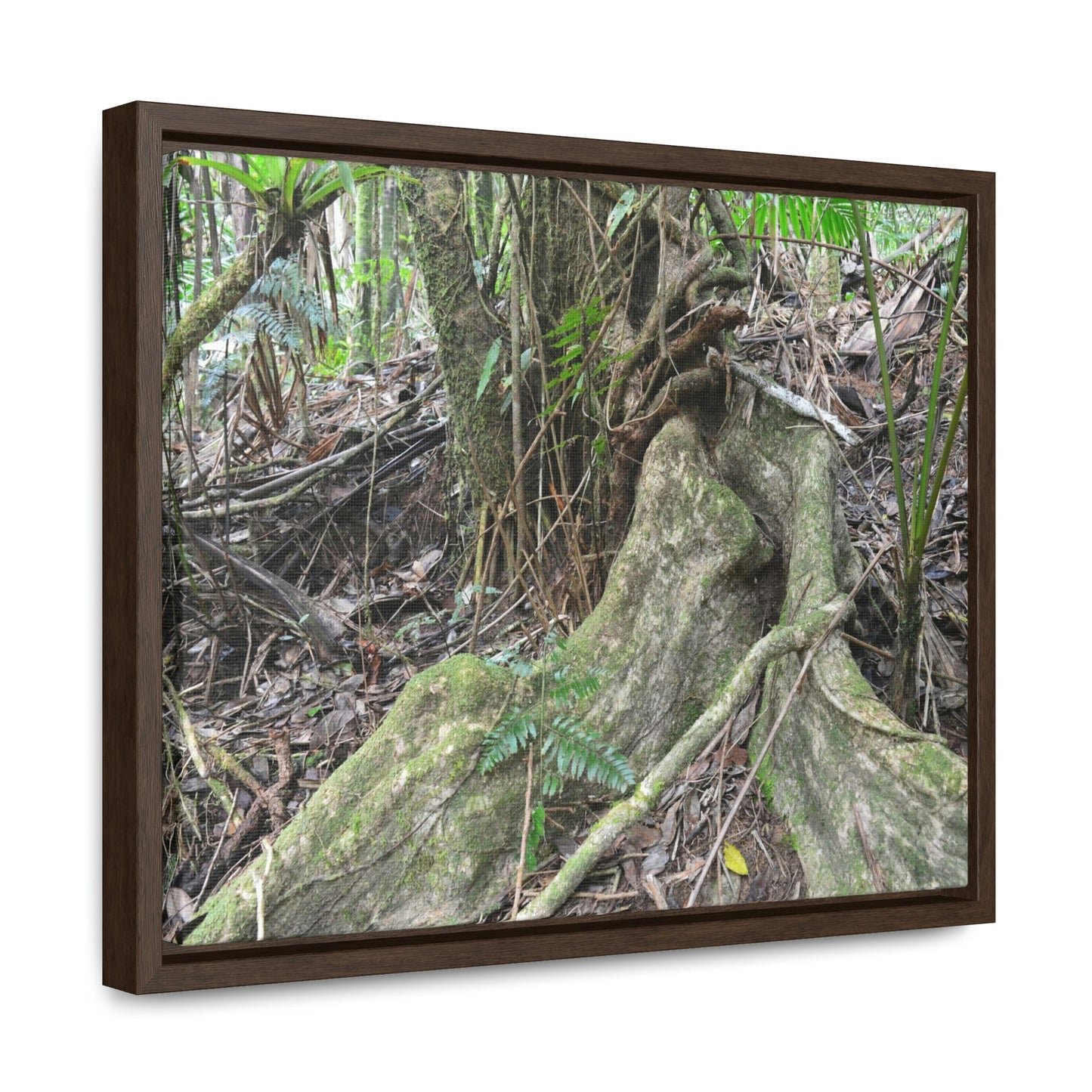 Horizontal Framed Premium Gallery Wrap Canvas - Holy Spirit River explorations - El Yunque rainforest PR - Green Forest Home