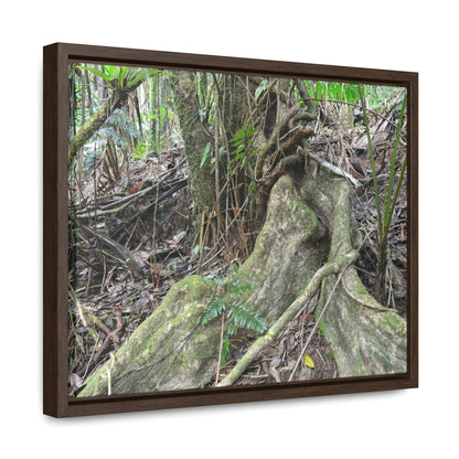 Horizontal Framed Premium Gallery Wrap Canvas - Holy Spirit River explorations - El Yunque rainforest PR - Green Forest Home