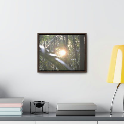 Horizontal Framed Premium Gallery Wrap Canvas - Holy Spirit River explorations - El Yunque rainforest PR - Green Forest Home
