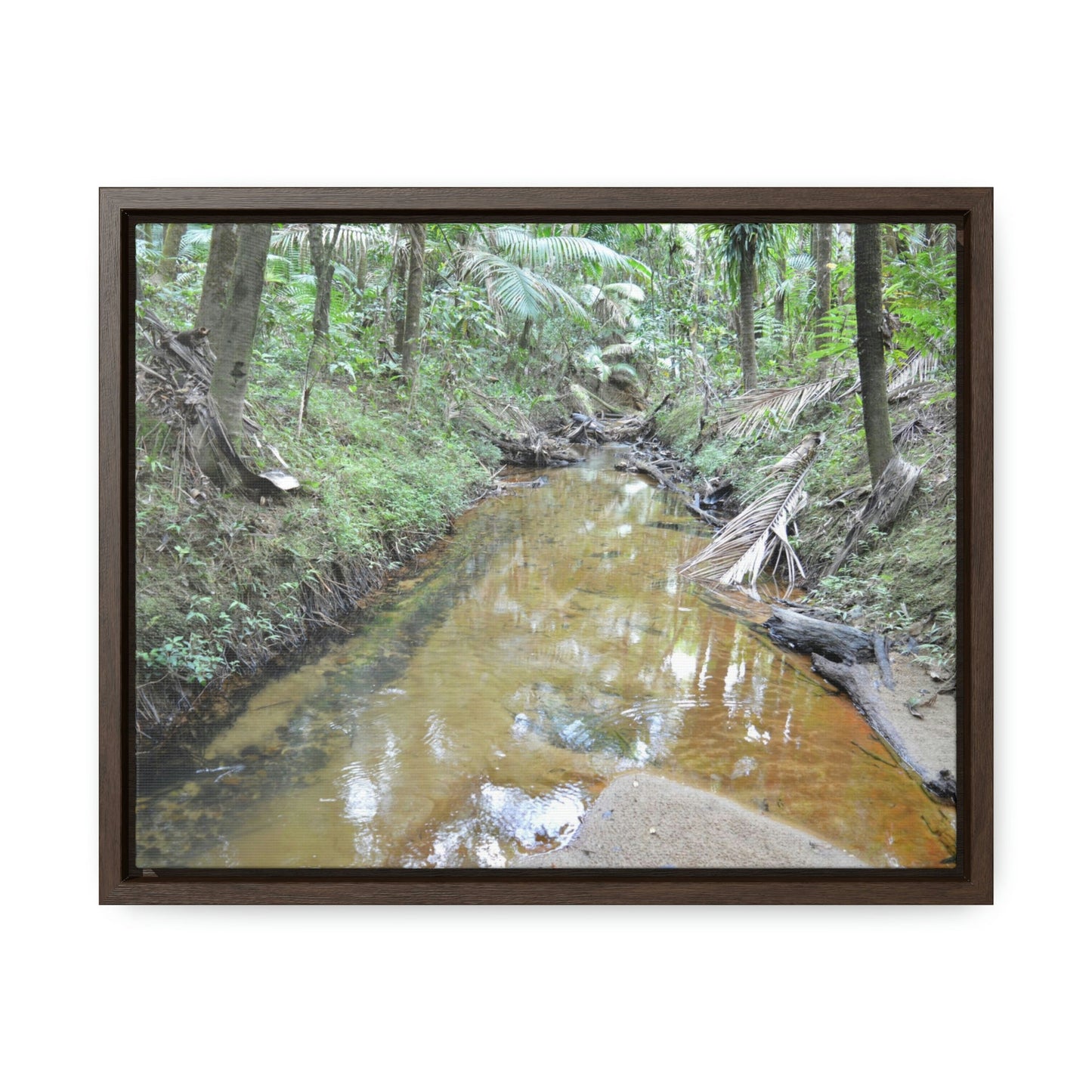 Horizontal Framed Premium Gallery Wrap Canvas - Holy Spirit River explorations - El Yunque rainforest PR - Green Forest Home