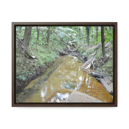 Horizontal Framed Premium Gallery Wrap Canvas - Holy Spirit River explorations - El Yunque rainforest PR - Green Forest Home