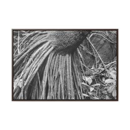 Horizontal Framed Premium Gallery Wrap Canvas - Holy Spirit River explorations - El Yunque rainforest PR - Green Forest Home