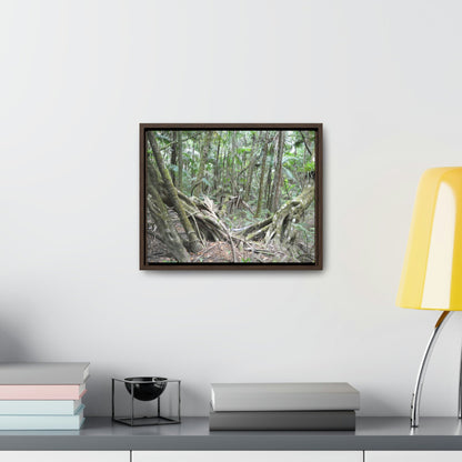 Horizontal Framed Premium Gallery Wrap Canvas - Holy Spirit River explorations - El Yunque rainforest PR - Green Forest Home
