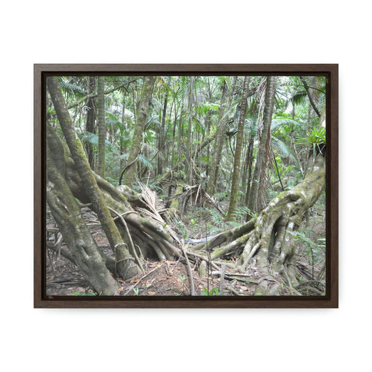 Horizontal Framed Premium Gallery Wrap Canvas - Holy Spirit River explorations - El Yunque rainforest PR - Green Forest Home