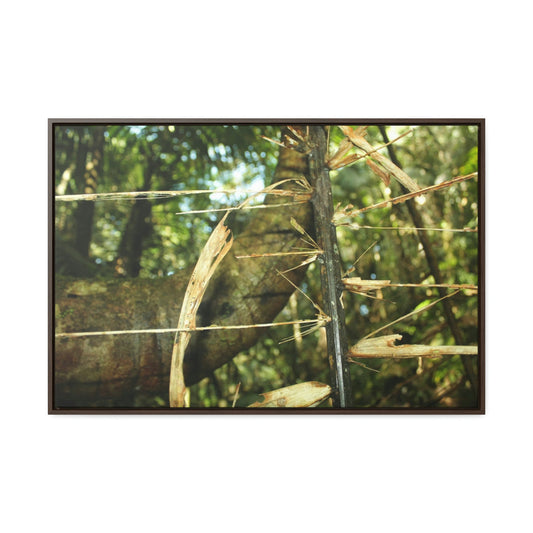 Horizontal Framed Premium Gallery Wrap Canvas - Holy Spirit River explorations - El Yunque rainforest PR - Green Forest Home