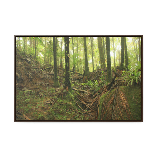 Horizontal Framed Premium Gallery Wrap Canvas - Holy Spirit River explorations - El Yunque rainforest PR - Green Forest Home