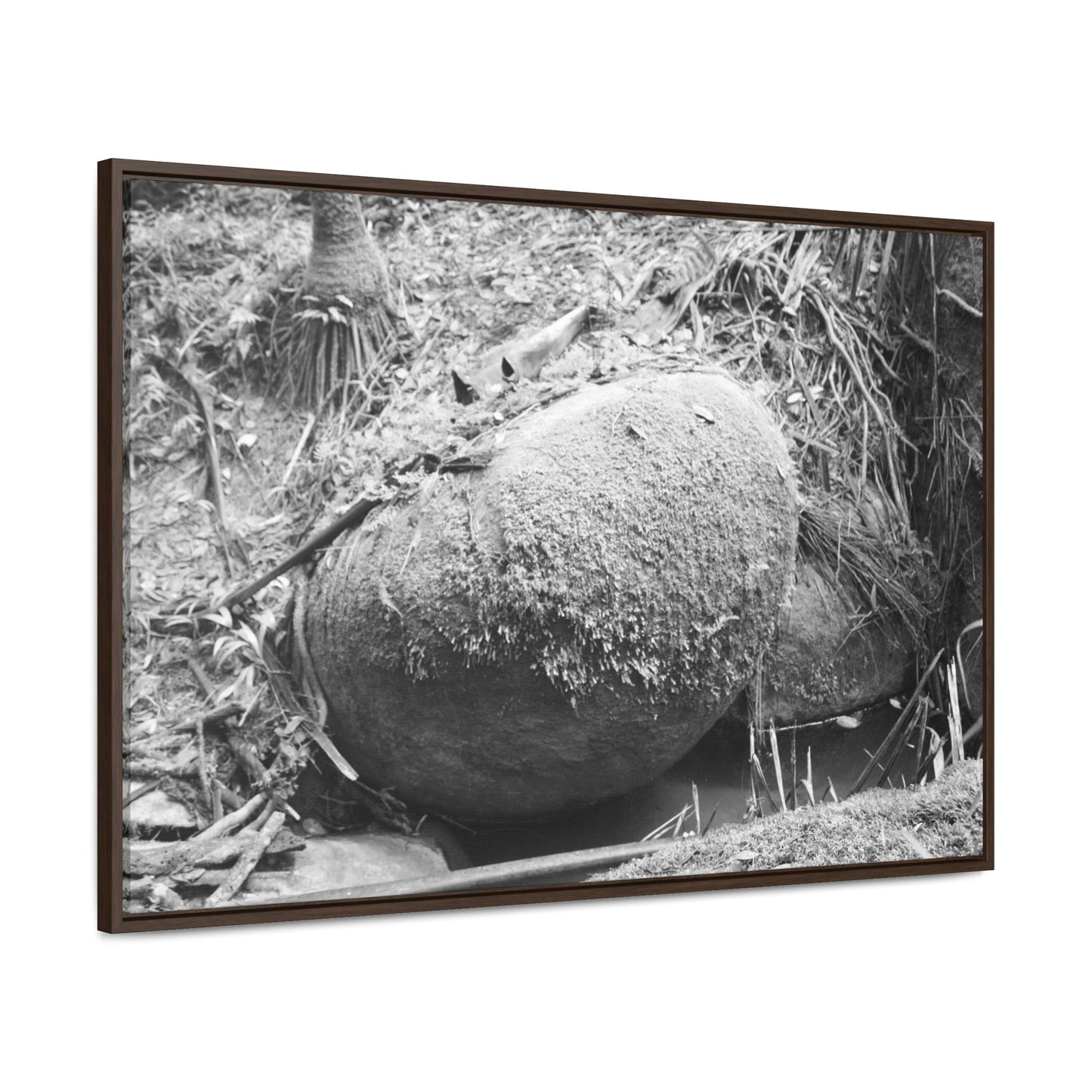 Horizontal Framed Premium Gallery Wrap Canvas - Holy Spirit River explorations - El Yunque rainforest PR - Green Forest Home