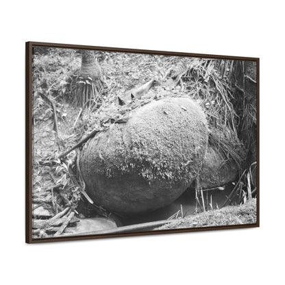 Horizontal Framed Premium Gallery Wrap Canvas - Holy Spirit River explorations - El Yunque rainforest PR - Green Forest Home