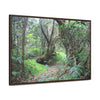 Horizontal Framed Premium Gallery Wrap Canvas - Holy Spirit River explorations - El Yunque rainforest PR - Green Forest Home