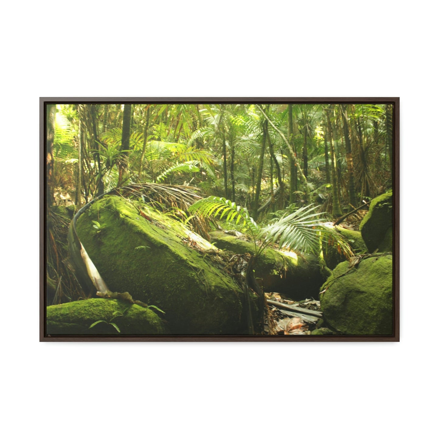 Horizontal Framed Premium Gallery Wrap Canvas - Holy Spirit River explorations - El Yunque rainforest PR - Green Forest Home