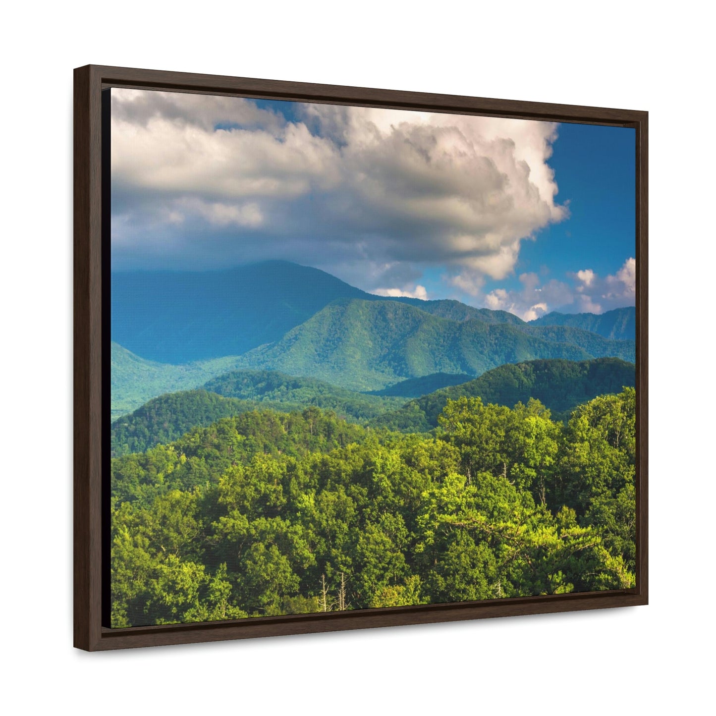Horizontal Framed Premium Gallery Wrap Canvas - Mountains view - Celebrating the Great Smoky Mountain National Park - Green Forest Home