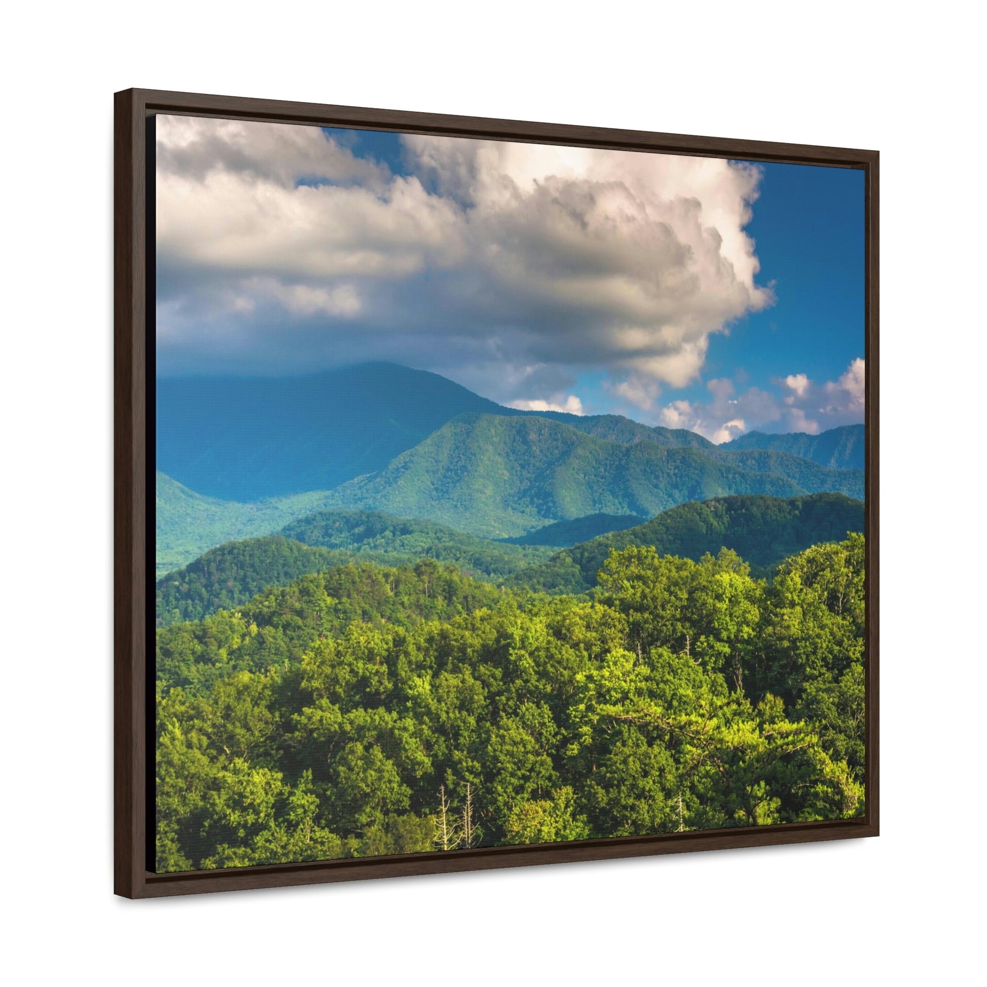 Horizontal Framed Premium Gallery Wrap Canvas - Mountains view - Celebrating the Great Smoky Mountain National Park - Green Forest Home