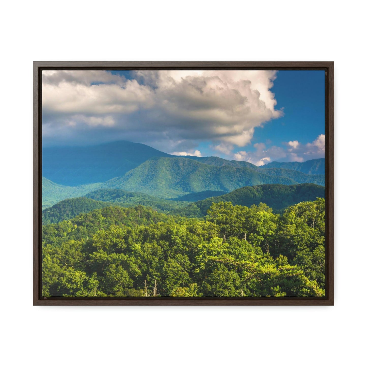 Horizontal Framed Premium Gallery Wrap Canvas - Mountains view - Celebrating the Great Smoky Mountain National Park - Green Forest Home