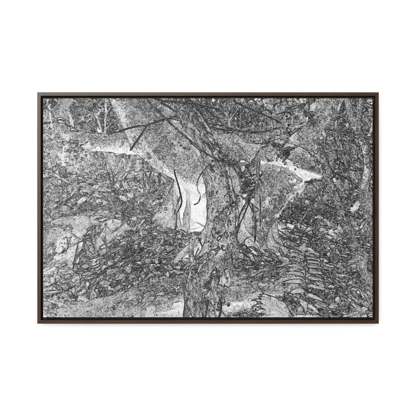 Horizontal Framed Premium Gallery Wrap Canvas - sketch image - 14 KM TRADEWINDS TRAIL - EL YUNQUE RAINFOREST PR EXPLORATION ON 2013-02-01 - OLD PAL RESTS ON TREE WHILE IT HOLDS ON ANOTHER DECAYING TREE AS BASE - THE CLOUD FOREST - BEFORE MARIA - Green Forest Home